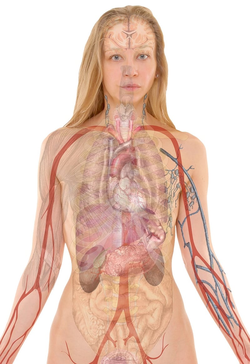 Diaphragmatic Breathing